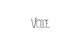 Voice