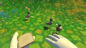Duck Bread: Extreme Duck Feeding