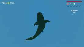 Shark Simulator