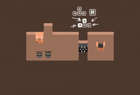 Quantic Cat