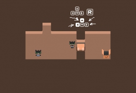 Quantic Cat