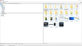 WildBit Viewer