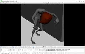 WildBit Viewer