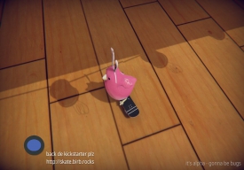 SkateBIRD