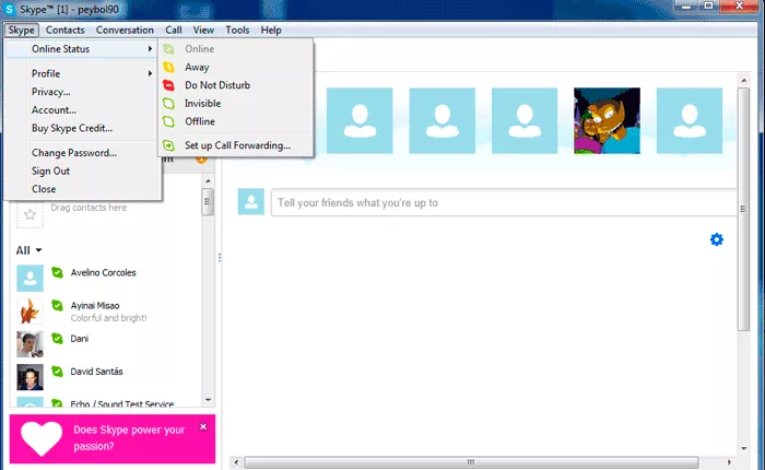 How to use Skype