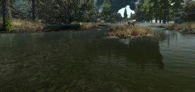 Pure Waters