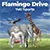 Yeti Sports 5: Flamingo Drive 1.0