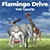 Yeti Sports 5: Flamingo Drive