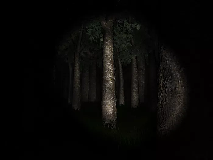 Slender the eight pages