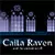 Caila Raven and the Ancient Scroll