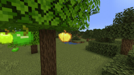 Apple Trees Revived