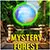 Mysteries Forest Escape 6