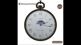 Dismantlement: Mobile Watch