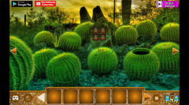 Rescue Girl From Desert Cactus