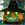 The Dark Fence 30: Pumpkin House in Hamool