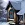 Powerful Wings: Stan Bug House