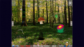 Ambient Forest Escape