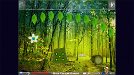 Amusing Forest Escape