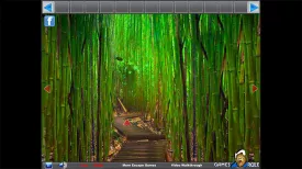 Bamboo Forest Escape