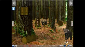 Bear Forest Escape