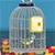 Blue Bird Escape 1.0