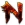 Neverwinter