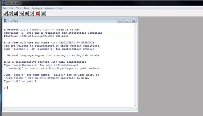 R statistical software