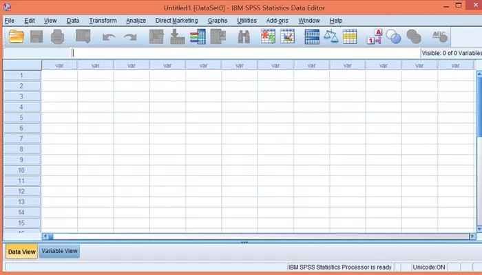 SPSS statistical software