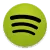 spotify icon