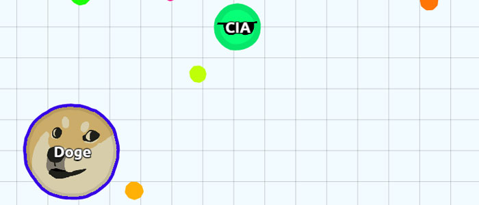 CIA name in Agar.io