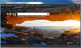 Internet Explorer