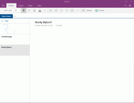 OneNote